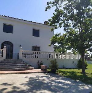 Casa Mama Lola Villa Fuengirola Exterior photo