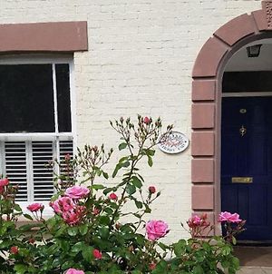 Cherry End Bed And Breakfast Chichester Exterior photo