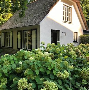 Schilde Cottage - voor als u er even uit wil, gaat renoveren, verhuizen of als tijdelijke home office Exterior photo