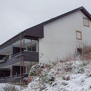 Bright And Modern Apartment In Niedersfeld Near Winterberg With Balcony Exterior photo