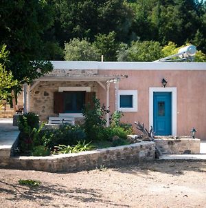 Chaihoutes Stone House Into Olive Farm In Zia Villa Agios Dimitrios  Exterior photo