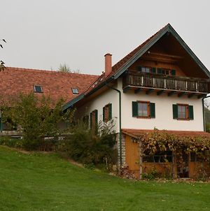 Bauernhof Grain Villa Feldbach  Exterior photo