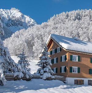 Alps Hoamat Villa Mellau Exterior photo