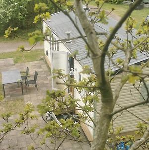 Blue Bird chalet met overdekt terras, bos en bosbad Hotel Havelte Exterior photo