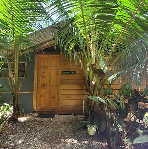 Private Jungle “Loft Del Rio” River Access Villa Uvita Exterior photo