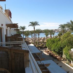 Oonas Dive Club Hotel Sharm-el-Sheikh Exterior photo