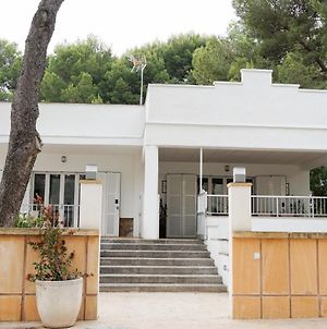 Houm Villa Plaza Arosa Palma de Mallorca Exterior photo