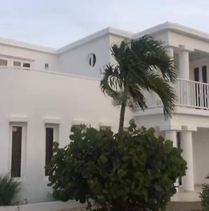Eagle Beach Casa Magica Villa Palm Beach Exterior photo