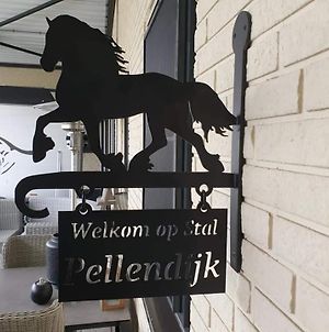 Luxe gastenkamer met living en keuken bij Friezen paarden Stal Pellendijk Westendorp Exterior photo