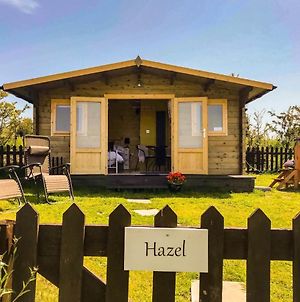 Hazel Glamping Hut With Hot Tub, Ensuite, Fenced Garden, Bbq, Firepit, Alpacas On Site, Views, Dog Friendly On Anglesey, North Wales Amlwch Exterior photo