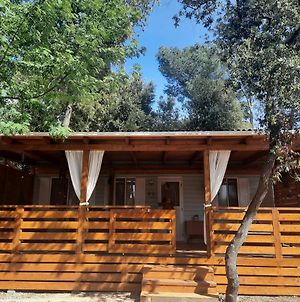 Oak Tree Mobile Home, Camp Soline Biograd Na Moru Exterior photo