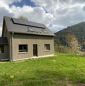 Ferienhaus Baiersbronn Lug Ins Tal Villa Exterior photo