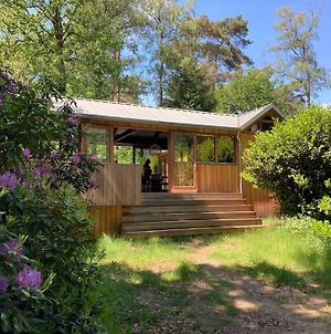 Houten bosvilla met sauna en 2 slaapkamers Doorn Exterior photo