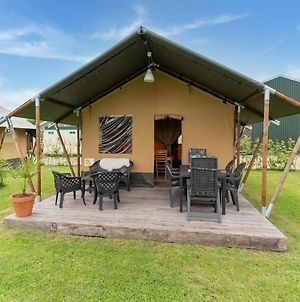 Tranquil tent lodge in Zwiggelte with garden Exterior photo