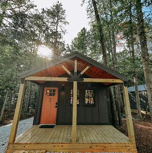 Brand New One Bedroom Cabin With Kitchen Minutes From Lake Hartwell Cabin #3 Exterior photo