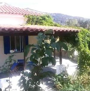 A Casa D'Irene Villa Samos Island Exterior photo