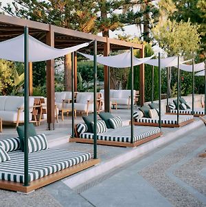 Cretan Malia Park A Member Of Design Hotels Exterior photo