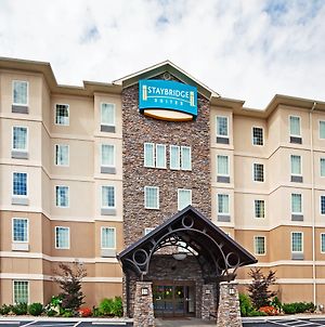 Staybridge Suites-Knoxville Oak Ridge, An Ihg Hotel Exterior photo