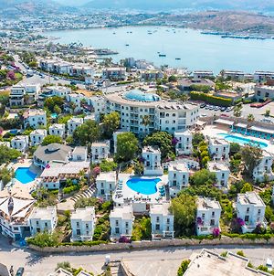 Riva Bodrum Resort (Adults Only) Gümbet Exterior photo