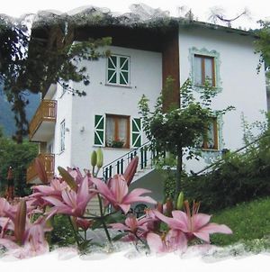 Villa Aprica Appartamenti Molveno Exterior photo