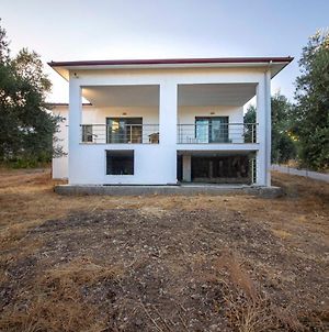 Lovely House Surrounded By Nature In Bodrum Ciftlikkoy  Exterior photo