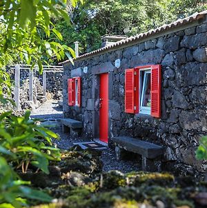 Adega Baia Azul - The Essence Of Pico Villa Baía de Canas Exterior photo