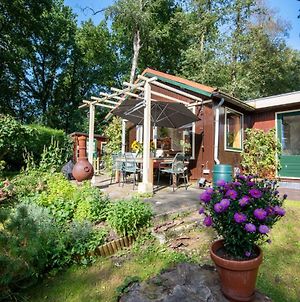 Cozy Tiny House 'Circumbendihouse' At The Veluwe And Close To Veluwemeer - Free Use Of Bikes Villa Ermelo Exterior photo