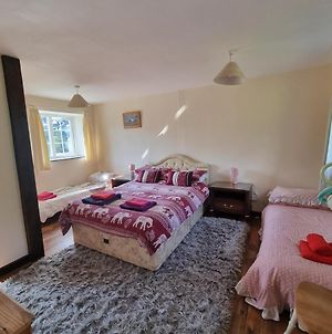 Trelawney Cottage, Sleeps Up To 4, Wifi, Fully Equipped Menheniot Exterior photo