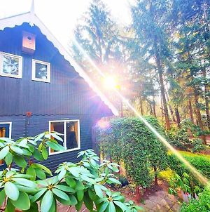Uniq Romantic Lovely Magical Forest Home Norg Exterior photo