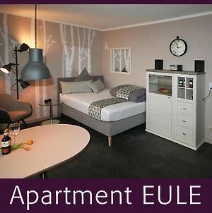 Apartment Eule - Gute-Nacht-Braunschweig Exterior photo
