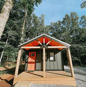 Brand New One Bedroom Cabin With Kitchenette Minutes From Lake Hartwell Cabin 10 Exterior photo