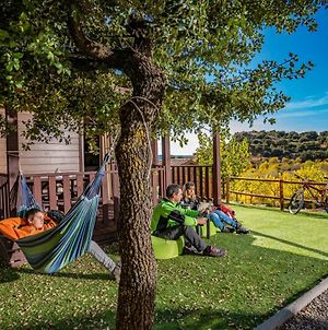 Camping Bungalow Serra De Prades Resort Vilanova de Prades Exterior photo
