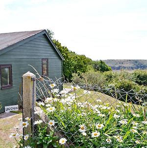 Log Cabin Villa Lamphey Exterior photo