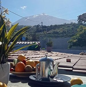 Casa Salvia Icod Guesthouse - Award Winning Bnb North Tenerife Icod De Los Vinos Exterior photo