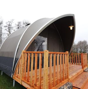 Romantic Tent Lodge In Dalerveen With Sauna Exterior photo