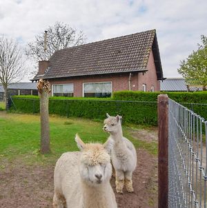 Alpacafarm Vorstenbosch Villa Exterior photo