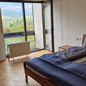 Atemberaubender Ausblick Appartement Landau in der Pfalz Exterior photo