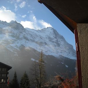 Pfaffenstockli Appartement Grindelwald Exterior photo