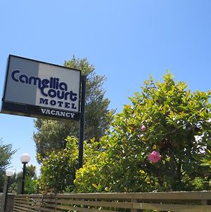 Camellia Court Family Motel Taupomeer Exterior photo