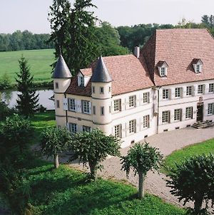 Château De Werde Bed and Breakfast Matzenheim Exterior photo