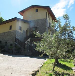Agriturismo Madonna Dei Ceppi Villa Lezzeno Exterior photo