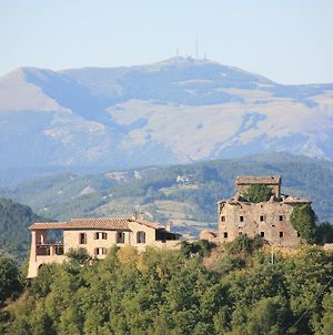 Agriturismo Monte Valentino Villa Pietralunga  Exterior photo