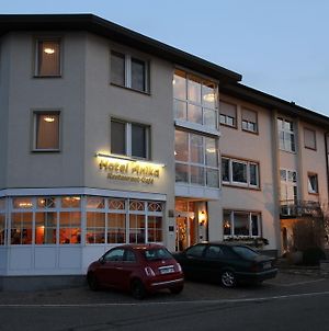 Hotel Anika Neuenburg am Rhein Exterior photo