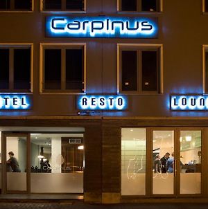 Hotel Carpinus Leuven Exterior photo