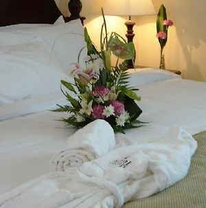 Tulip Inn Royal Suites Ajman Room photo
