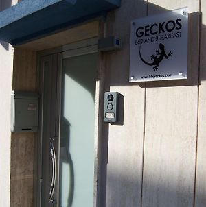 Bed And Breakfast Geckos Brindisi Exterior photo