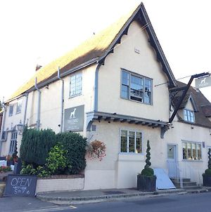 The Dog At Wingham Hotel Canterbury Exterior photo