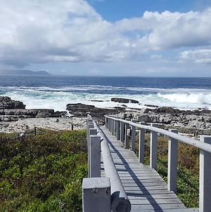 Whale View Self Catering Apartment Hermanus Exterior photo