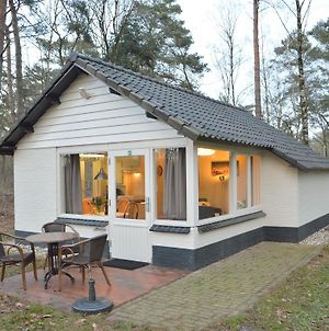 Completely Detached Bungalow In A Nature Filled Park By A Large Fen Villa Stramproy Exterior photo