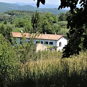 Agriturismo Alle Torricelle Villa Verona Exterior photo